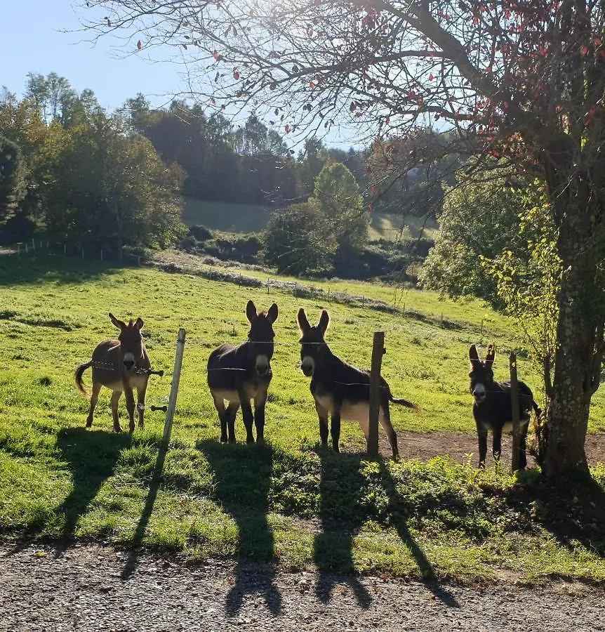 La Ferme De Jeanne Bed & Breakfast Saint-Girons  3*, Saint-Girons (Ariege)